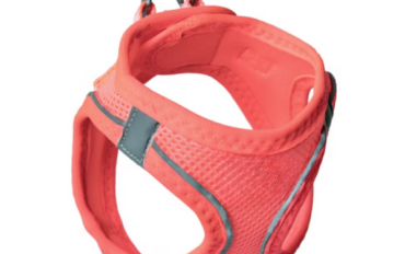 Harnesses